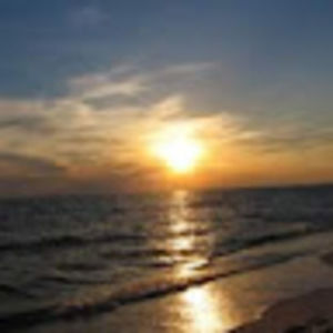 Meet your Posher, Bruno